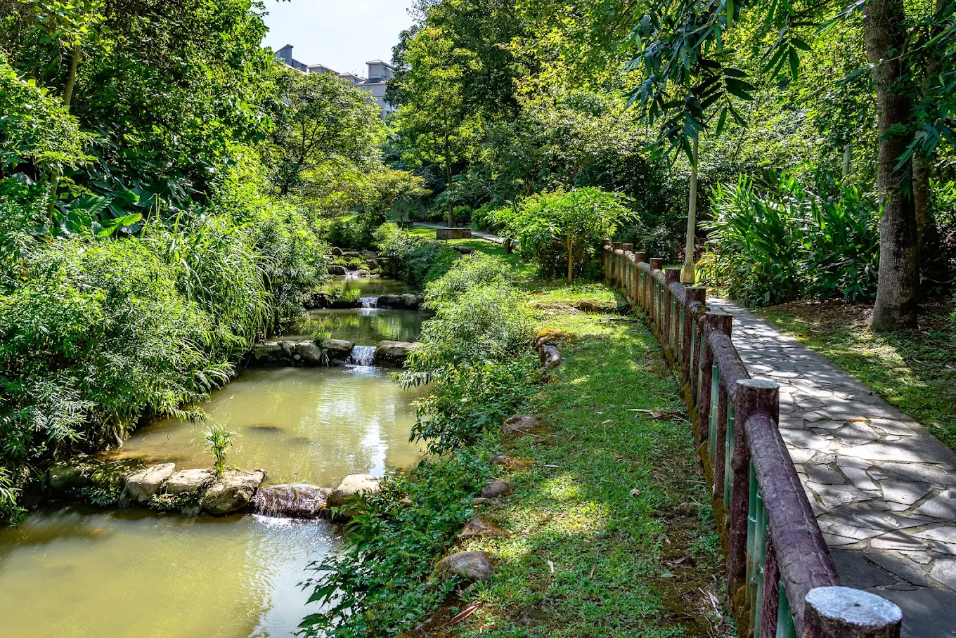 Recommended Hidden Gem in Wenshan, Taipei City: Xiaokeng Creek Literary Trail (小坑溪文學步道)