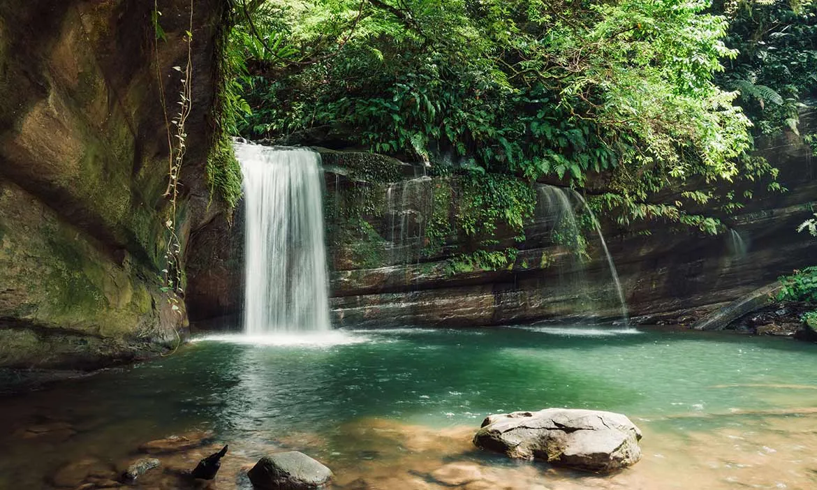 Recommended Hidden Gem in Pingxi, New Taipei City: Wanggu Pit Trail (望古坑古道)