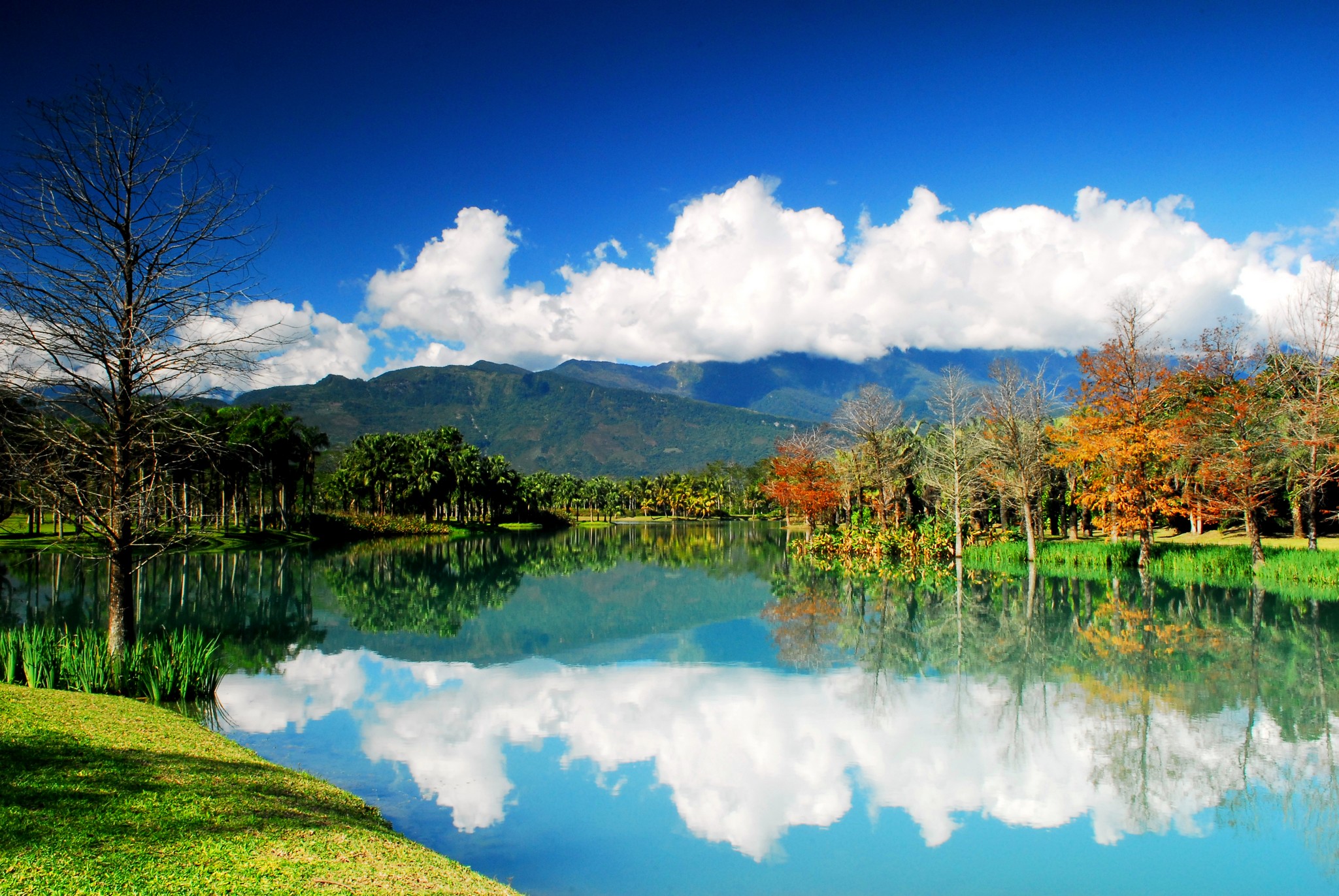 Recommended Hidden Gem in Hualien County: Yun Shan Shui Plantations (雲山水植物農場)