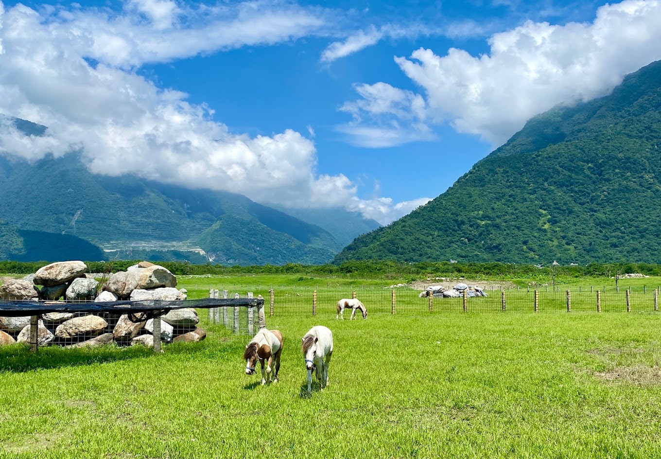 Recommended Hidden Gem in Hualien County: Chongde Ying Farm (崇德瑩農場)