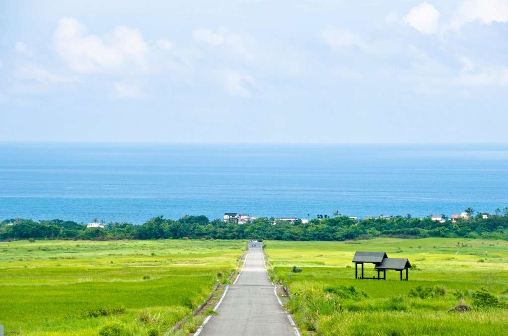 Recommended Hidden Gem in Taitung County: King Kong Avenue (金剛大道)