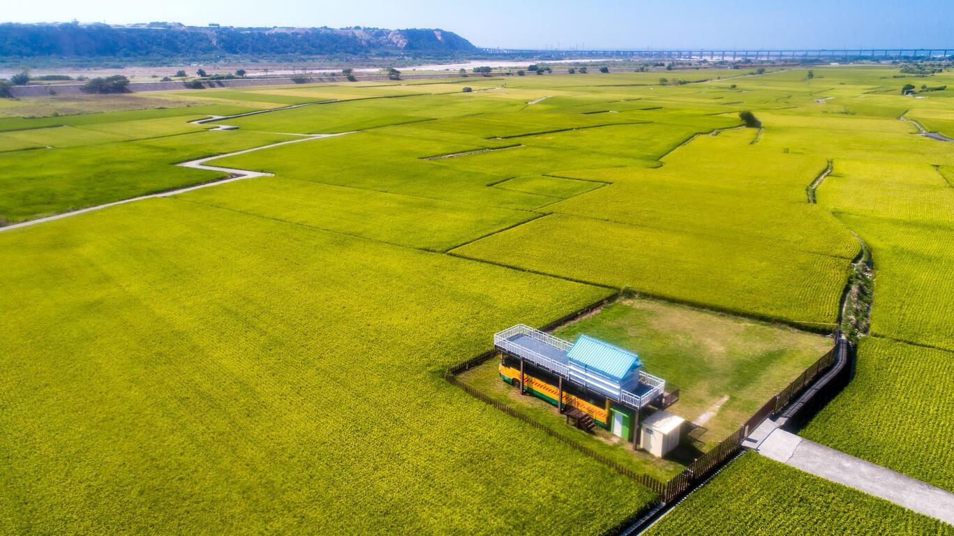 Must-Visit Hidden Gem Recommendation: Taichung City's Wangyou Valley (外埔忘憂谷)