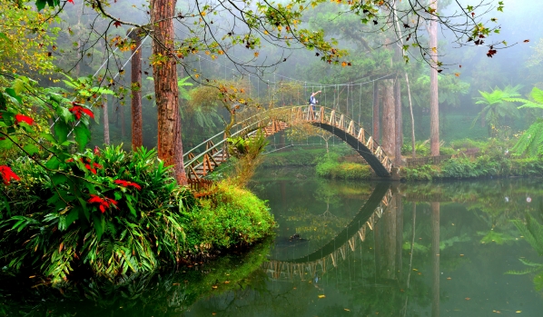 Must-Visit Hidden Gem Recommendation: Nantou County's Xitou Nature Education Area (溪頭自然教育園區)